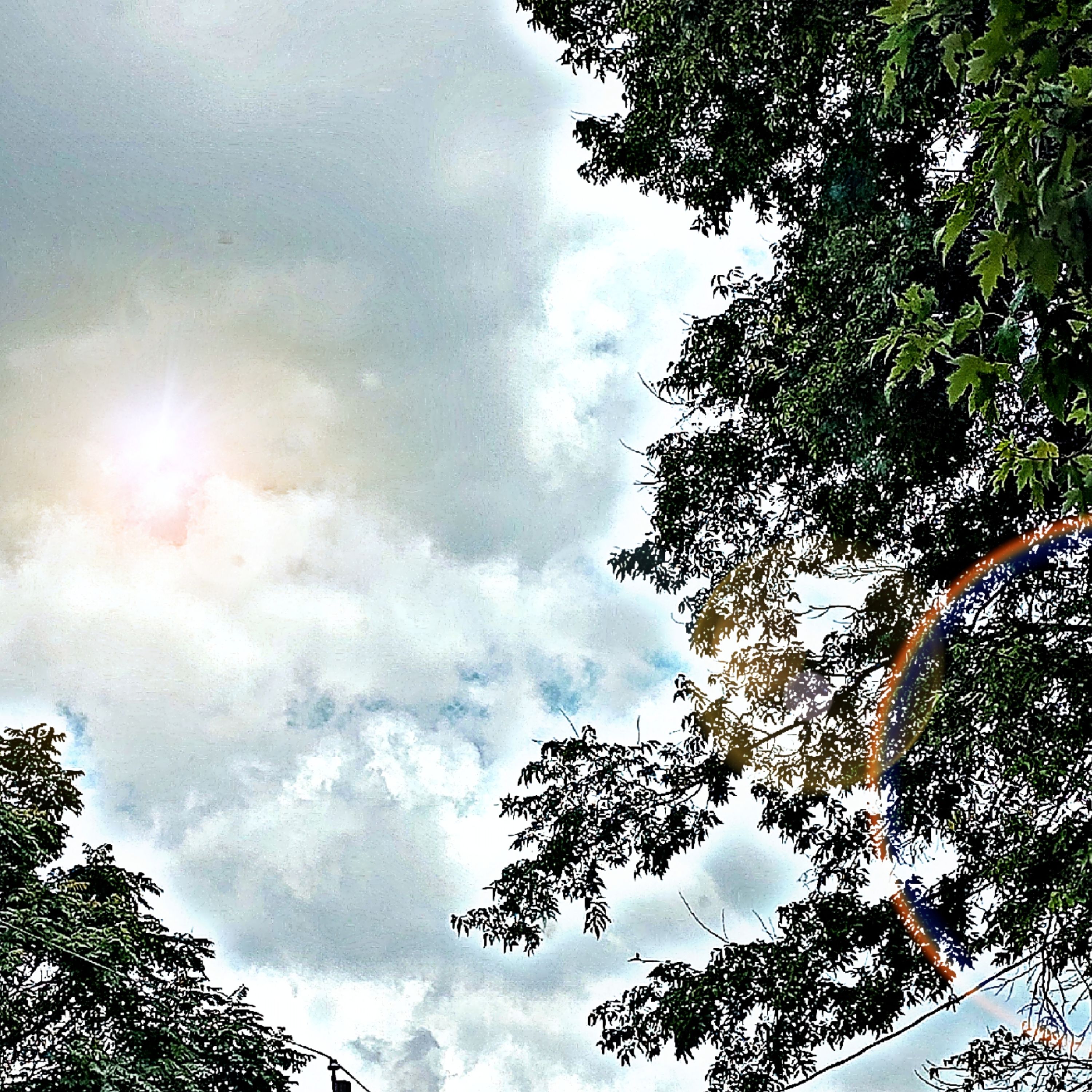 Parhelion
